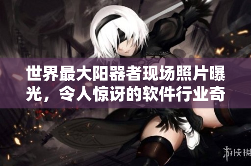 世界最大阳器者现场照片曝光，令人惊讶的软件行业奇观展示