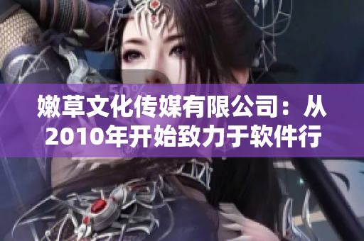 嫩草文化传媒有限公司：从2010年开始致力于软件行业的发展