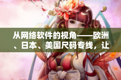 从网络软件的视角——欧洲、日本、美国尺码专线，让程序员无忧开发