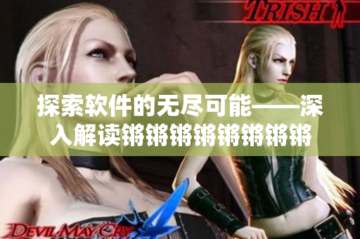 探索软件的无尽可能——深入解读锵锵锵锵锵锵锵锵