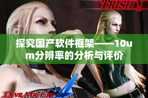 探究国产软件框架——10um分辨率的分析与评价