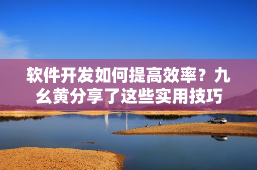 软件开发如何提高效率？九幺黄分享了这些实用技巧