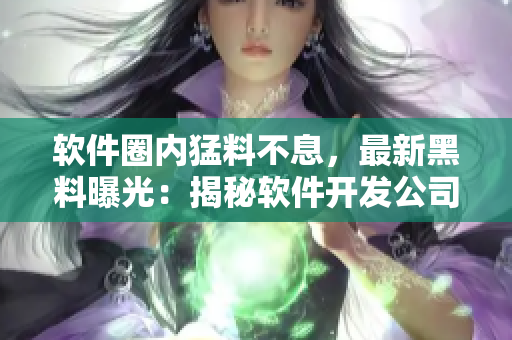 软件圈内猛料不息，最新黑料曝光：揭秘软件开发公司内部运作真相！