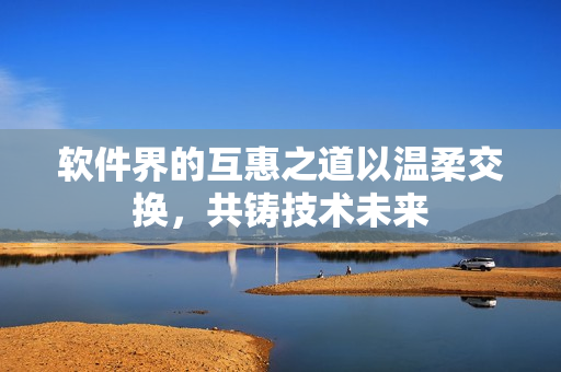 软件界的互惠之道以温柔交换，共铸技术未来