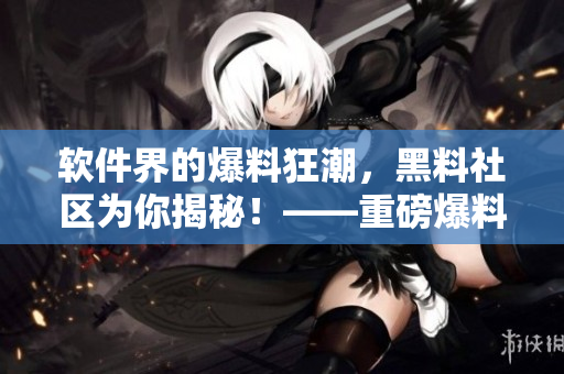 软件界的爆料狂潮，黑料社区为你揭秘！——重磅爆料软件行业内幕！