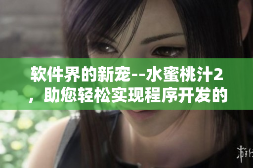 软件界的新宠--水蜜桃汁2，助您轻松实现程序开发的梦想