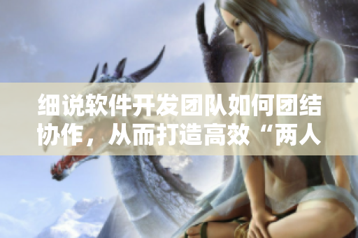 细说软件开发团队如何团结协作，从而打造高效“两人世界”