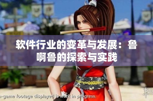 软件行业的变革与发展：鲁啊鲁的探索与实践