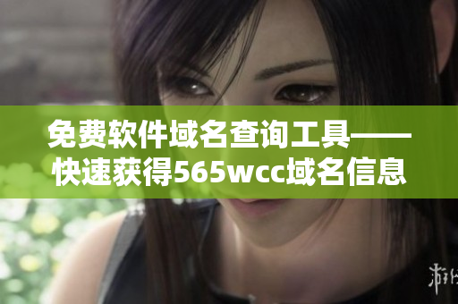 免费软件域名查询工具——快速获得565wcc域名信息！