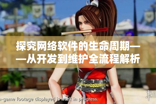 探究网络软件的生命周期——从开发到维护全流程解析