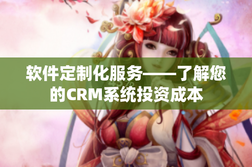 软件定制化服务——了解您的CRM系统投资成本