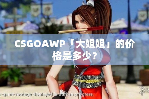 CSGOAWP「大姐姐」的价格是多少？
