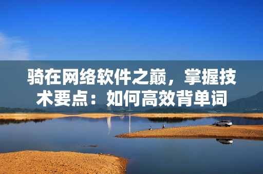 骑在网络软件之巅，掌握技术要点：如何高效背单词