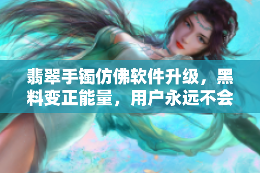 翡翠手镯仿佛软件升级，黑料变正能量，用户永远不会迷路