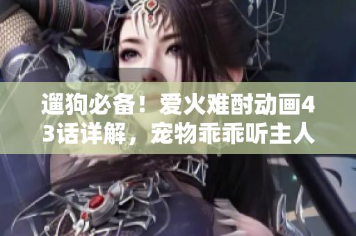 遛狗必备！爱火难酎动画43话详解，宠物乖乖听主人的教导