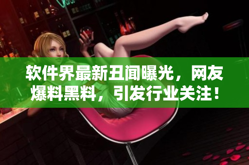 软件界最新丑闻曝光，网友爆料黑料，引发行业关注！