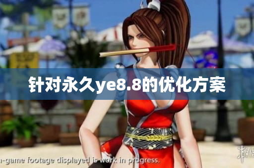 针对永久ye8.8的优化方案