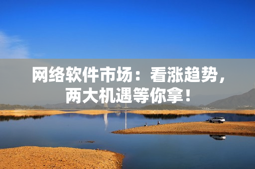 网络软件市场：看涨趋势，两大机遇等你拿！