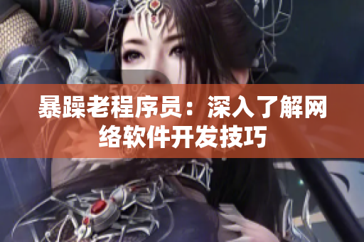 暴躁老程序员：深入了解网络软件开发技巧