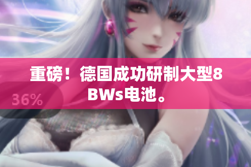 重磅！德国成功研制大型8BWs电池。