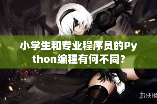 小学生和专业程序员的Python编程有何不同？