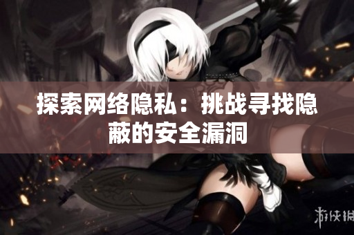 探索网络隐私：挑战寻找隐蔽的安全漏洞