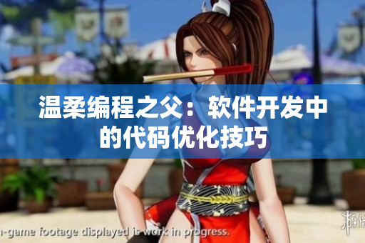 温柔编程之父：软件开发中的代码优化技巧