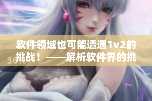 软件领域也可能遭遇1v2的挑战！——解析软件界的挑战和应对策略