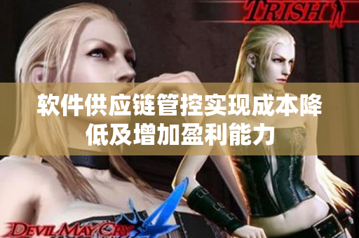 软件供应链管控实现成本降低及增加盈利能力