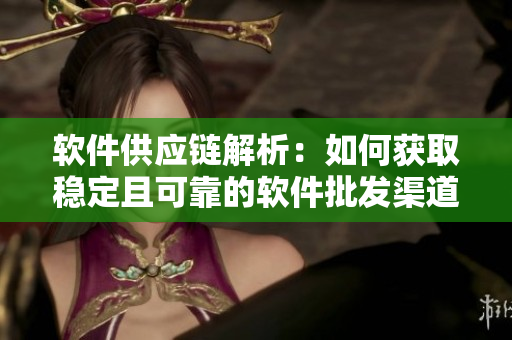 软件供应链解析：如何获取稳定且可靠的软件批发渠道？