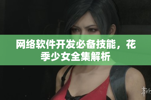 网络软件开发必备技能，花季少女全集解析