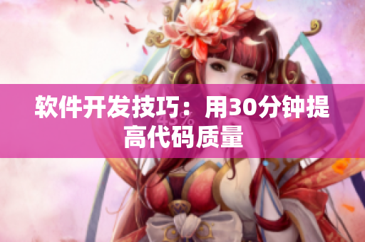 软件开发技巧：用30分钟提高代码质量