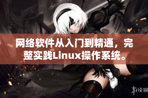 网络软件从入门到精通，完整实践Linux操作系统。