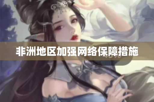 非洲地区加强网络保障措施