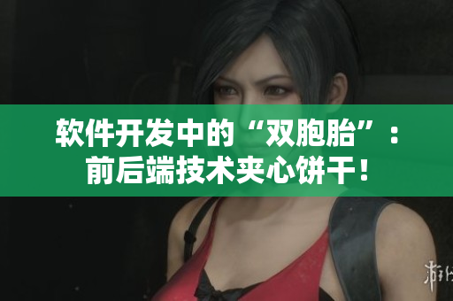 软件开发中的“双胞胎”：前后端技术夹心饼干！