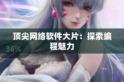 顶尖网络软件大片：探索编程魅力