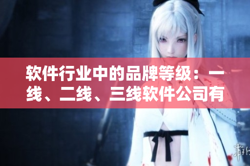 软件行业中的品牌等级：一线、二线、三线软件公司有何不同？