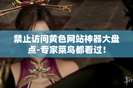 禁止访问黄色网站神器大盘点-专家菜鸟都看过！