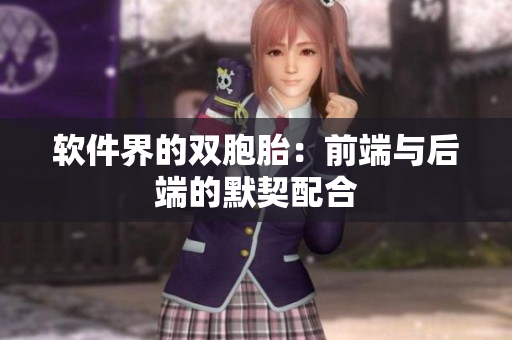 软件界的双胞胎：前端与后端的默契配合