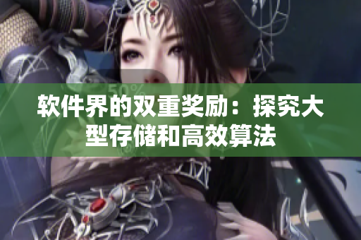 软件界的双重奖励：探究大型存储和高效算法