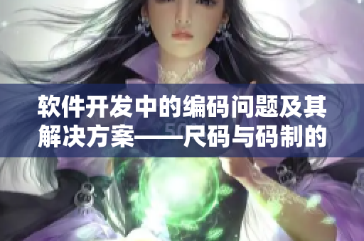 软件开发中的编码问题及其解决方案——尺码与码制的类比探究