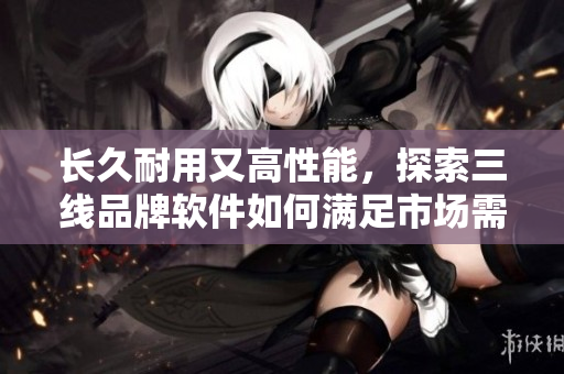 长久耐用又高性能，探索三线品牌软件如何满足市场需求