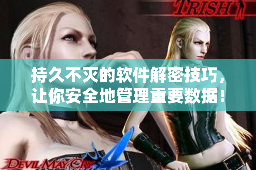 持久不灭的软件解密技巧，让你安全地管理重要数据！