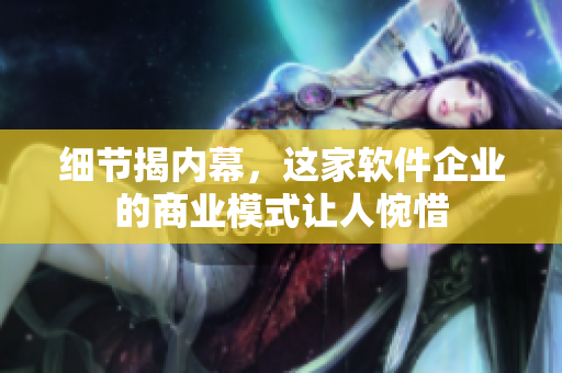 细节揭内幕，这家软件企业的商业模式让人惋惜
