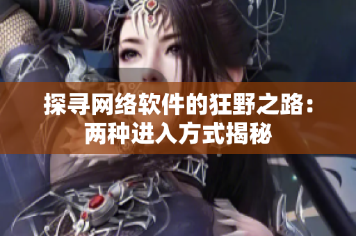 探寻网络软件的狂野之路：两种进入方式揭秘