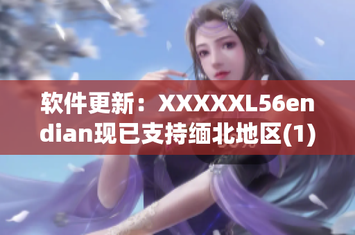软件更新：XXXXXL56endian现已支持缅北地区(1)