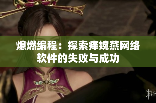 熄燃编程：探索痒婉燕网络软件的失败与成功