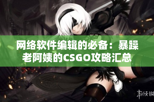 网络软件编辑的必备：暴躁老阿姨的CSGO攻略汇总