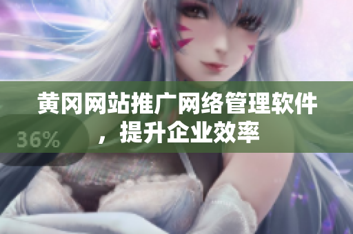 黄冈网站推广网络管理软件，提升企业效率