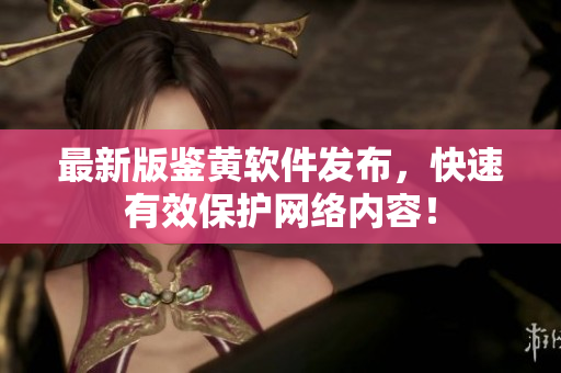 最新版鉴黄软件发布，快速有效保护网络内容！